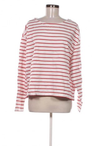 Damen Shirt Anko, Größe XL, Farbe Mehrfarbig, Preis € 6,99