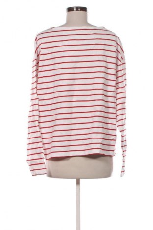 Damen Shirt Anko, Größe XL, Farbe Mehrfarbig, Preis € 6,99