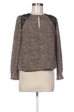 Damen Shirt Bershka, Größe M, Farbe Mehrfarbig, Preis € 5,99