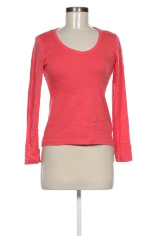 Damen Shirt Biaggini, Größe S, Farbe Rot, Preis 4,99 €