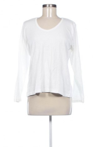 Damen Shirt Blue Motion, Größe M, Farbe Weiß, Preis € 9,78