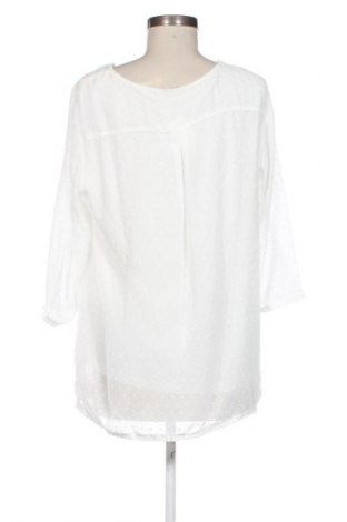 Damen Shirt Canda, Größe L, Farbe Mehrfarbig, Preis € 5,99