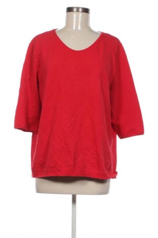 Damen Shirt Cecil, Größe L, Farbe Mehrfarbig, Preis € 12,99