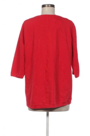 Damen Shirt Cecil, Größe L, Farbe Mehrfarbig, Preis € 12,99