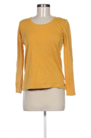 Damen Shirt Cecil, Größe S, Farbe Orange, Preis 4,99 €