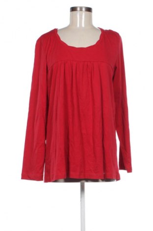Damen Shirt Cecil, Größe XL, Farbe Rot, Preis € 11,99