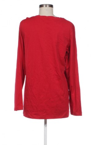 Damen Shirt Cecil, Größe XL, Farbe Rot, Preis € 11,99