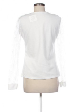 Damen Shirt Colloseum, Größe S, Farbe Weiß, Preis € 4,99
