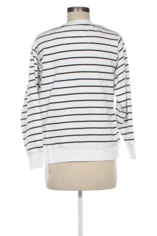 Damen Shirt Country Road, Größe S, Farbe Mehrfarbig, Preis € 8,99