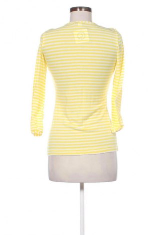 Damen Shirt Danini, Größe S, Farbe Mehrfarbig, Preis € 10,00