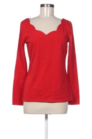 Damen Shirt Esprit, Größe L, Farbe Rot, Preis € 17,00