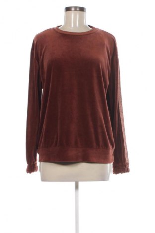 Damen Shirt Hunkemoller, Größe L, Farbe Braun, Preis € 7,99