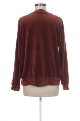 Damen Shirt Hunkemoller, Größe L, Farbe Braun, Preis € 7,99