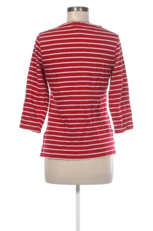 Γυναικεία μπλούζα Limited, Μέγεθος S, Χρώμα Πολύχρωμο, Τιμή 5,99 €