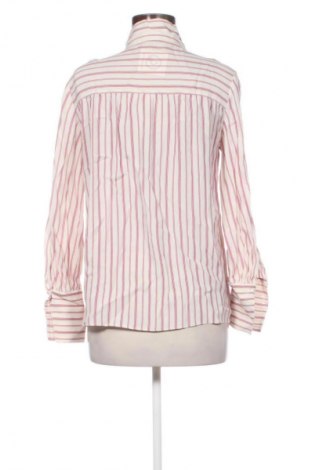Damen Shirt Massimo Dutti, Größe M, Farbe Mehrfarbig, Preis € 25,00