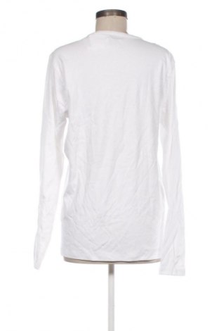 Damen Shirt Montego, Größe L, Farbe Weiß, Preis € 5,99