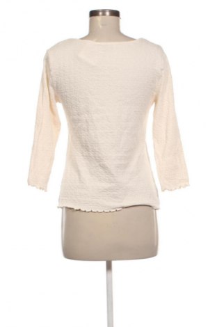 Damen Shirt Nutmeg, Größe L, Farbe Ecru, Preis € 5,99