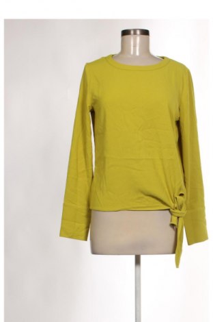 Damen Shirt Opus, Größe S, Farbe Grün, Preis € 8,99