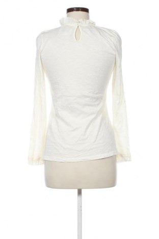 Γυναικεία μπλούζα Rich & Royal, Μέγεθος XS, Χρώμα Εκρού, Τιμή 8,99 €