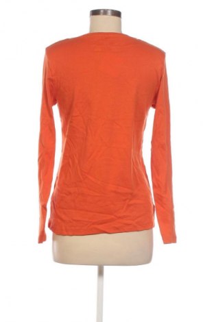 Damen Shirt Steilmann, Größe S, Farbe Orange, Preis € 8,99