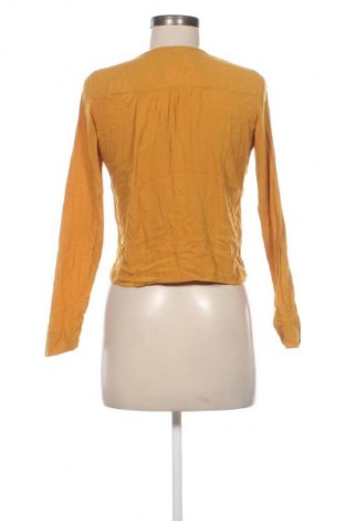Damen Shirt Stradivarius, Größe S, Farbe Orange, Preis € 14,70
