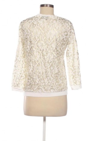 Damen Shirt Yessica, Größe XS, Farbe Mehrfarbig, Preis € 9,78