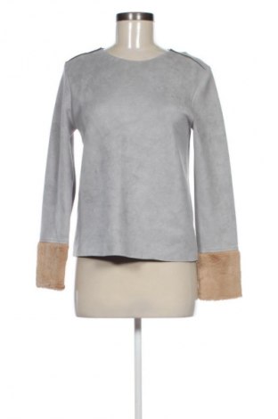 Damen Shirt Zara, Größe S, Farbe Grau, Preis € 8,99
