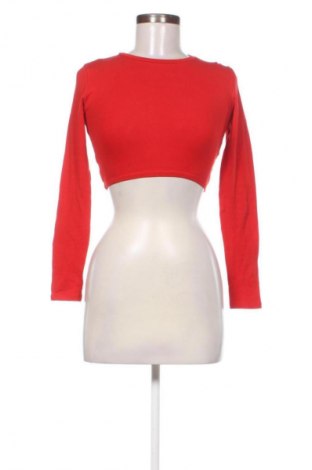 Damen Shirt Zara, Größe M, Farbe Rot, Preis € 25,68