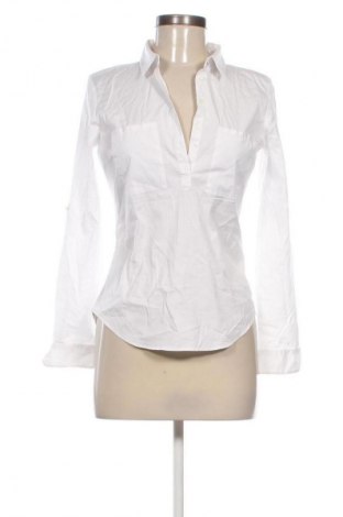 Damen Shirt Zara, Größe M, Farbe Schwarz, Preis € 10,99