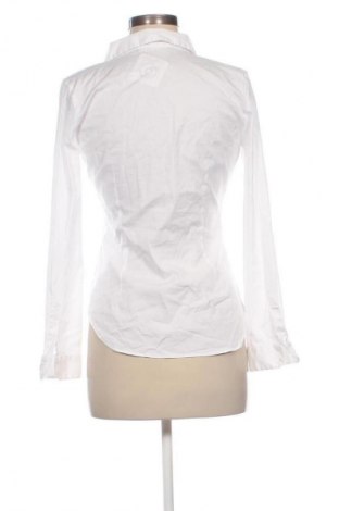 Damen Shirt Zara, Größe M, Farbe Schwarz, Preis € 10,99