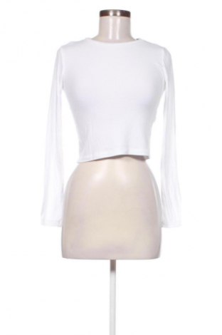 Damen Shirt Zara, Größe S, Farbe Weiß, Preis € 14,00