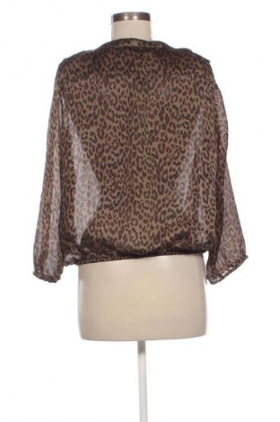 Bluzka damska Zara, Rozmiar XL, Kolor Kolorowy, Cena 75,02 zł