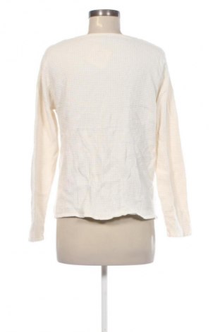 Damen Strickjacke Blue Motion, Größe XL, Farbe Beige, Preis € 8,99