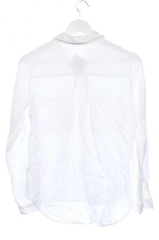 Damenbluse Bella Dahl, Größe XS, Farbe Weiß, Preis € 26,99