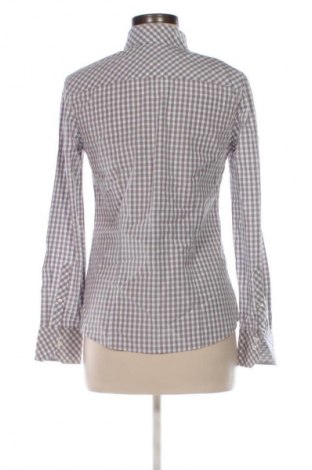 Damenbluse Brax, Größe S, Farbe Mehrfarbig, Preis € 23,99