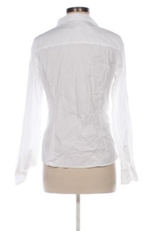 Damenbluse Calliope, Größe L, Farbe Weiß, Preis € 12,99