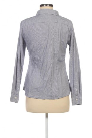 Damenbluse Castro, Größe M, Farbe Mehrfarbig, Preis € 8,99