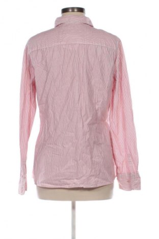 Damenbluse Colours Of The World, Größe XL, Farbe Mehrfarbig, Preis € 11,99