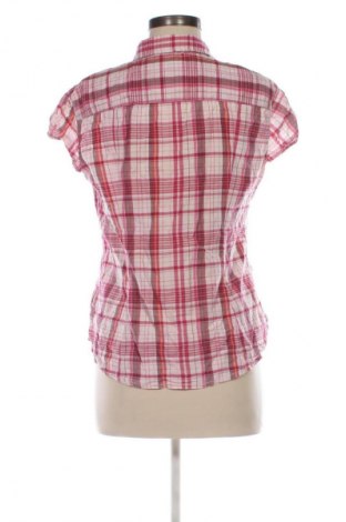 Damenbluse H&M L.O.G.G., Größe L, Farbe Mehrfarbig, Preis 13,00 €