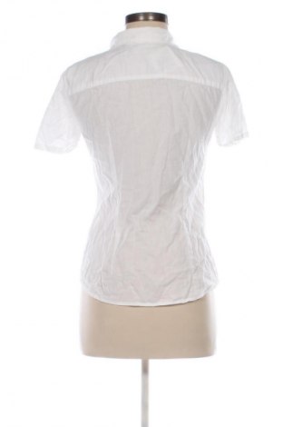 Damenbluse H&M L.O.G.G., Größe S, Farbe Weiß, Preis 13,00 €