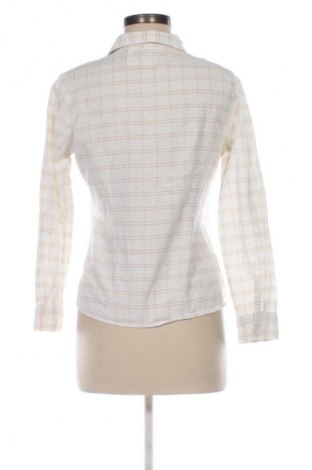 Női ing M&Co., Méret M, Szín Sokszínű, Ár 5 311 Ft