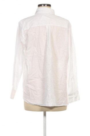 Damenbluse Peter Hahn, Größe XL, Farbe Weiß, Preis € 19,99