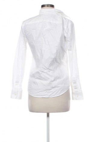 Damenbluse Ralph Lauren, Größe M, Farbe Weiß, Preis € 69,99