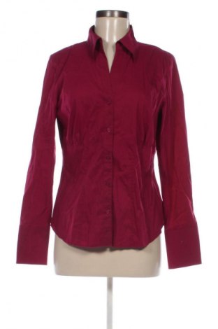 Damenbluse Taifun, Größe M, Farbe Lila, Preis € 13,99