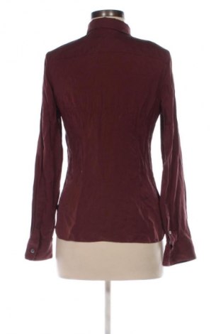 Damenbluse Theory, Größe M, Farbe Braun, Preis € 42,00