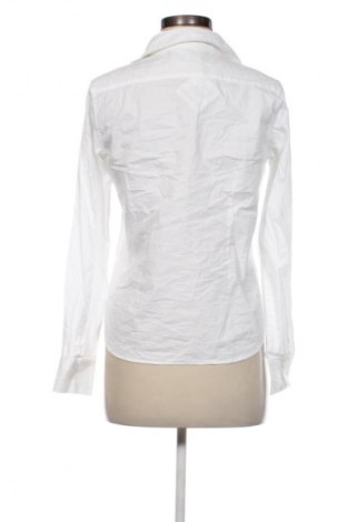 Damska koszula U.S. Polo Assn., Rozmiar M, Kolor Biały, Cena 99,99 zł