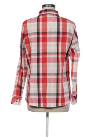 Damenbluse Your Sixth Sense, Größe XL, Farbe Mehrfarbig, Preis € 8,99