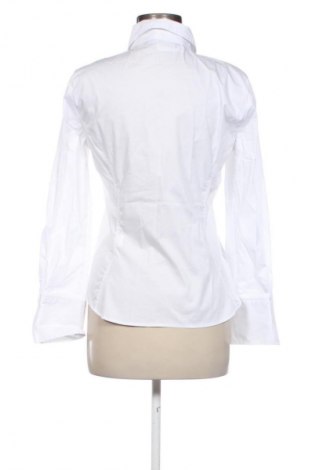 Damenbluse Zara, Größe L, Farbe Weiß, Preis € 14,00