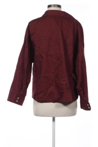 Damenbluse Zara, Größe XL, Farbe Rot, Preis € 14,99