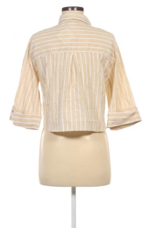 Damenbluse Zara, Größe M, Farbe Mehrfarbig, Preis € 11,99